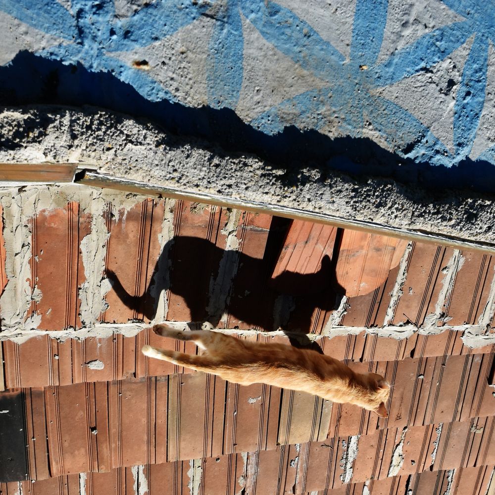 Photograph by Gabriella Szabo