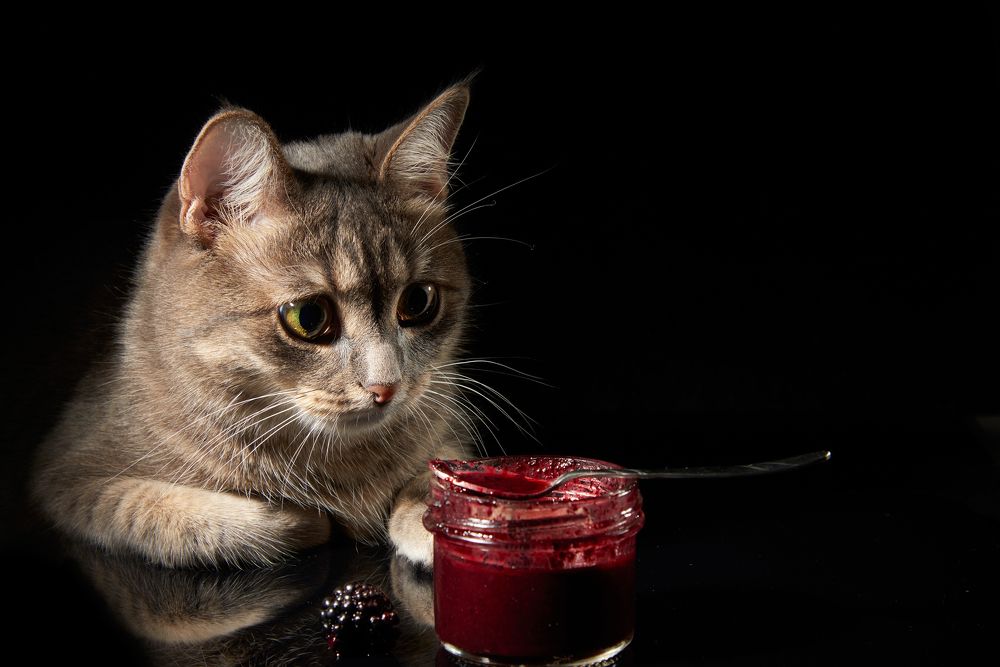 Photograph by Владимир Греков