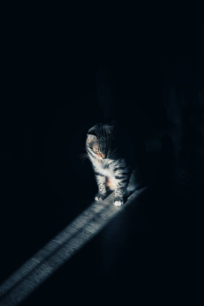 Photograph by Alexandr Tulinov