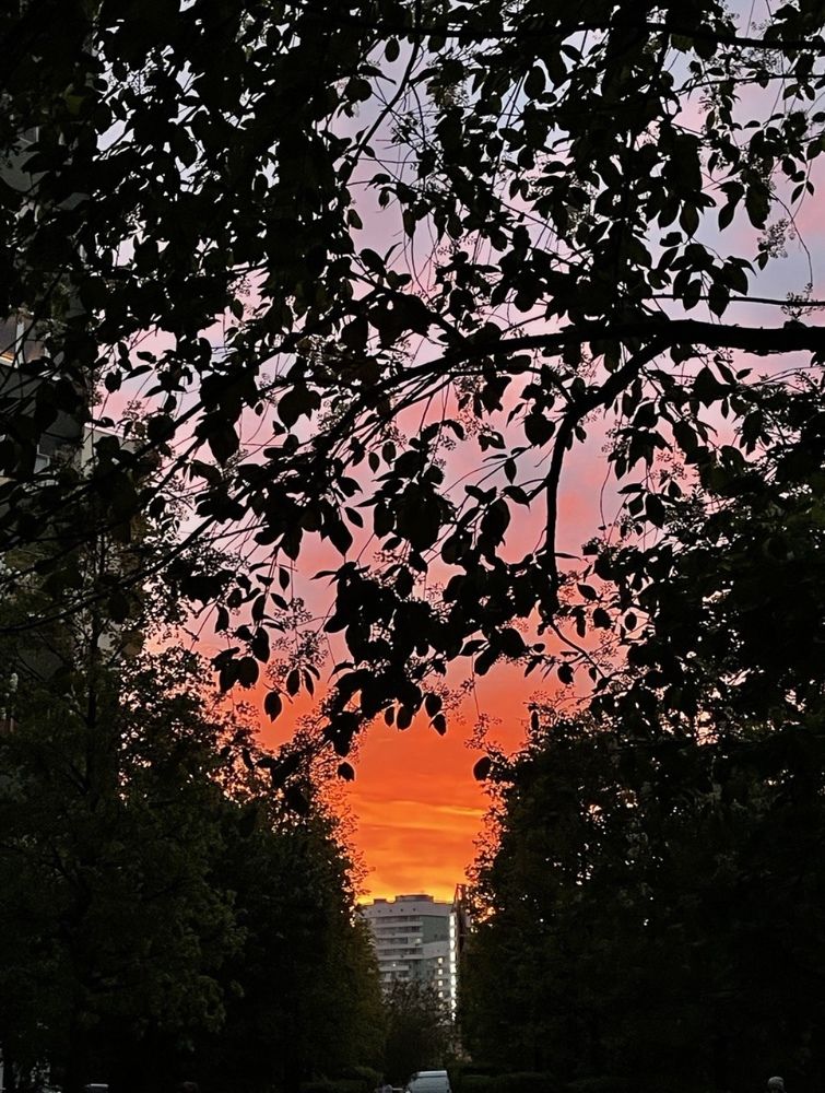 Photograph by Диана Ширшова