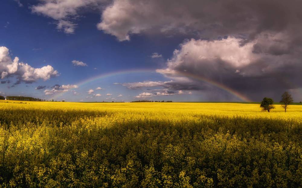 Photograph by Сергей Дишук