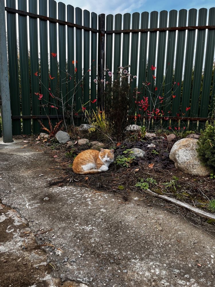 Фотография автора Mari Sa