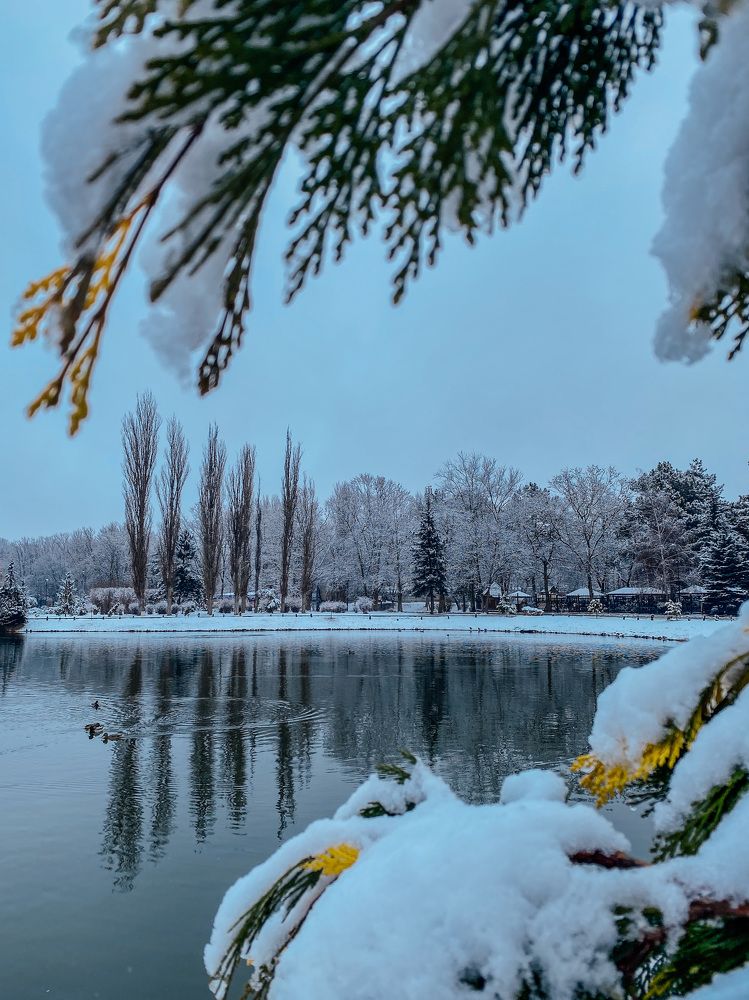 Зимний парк