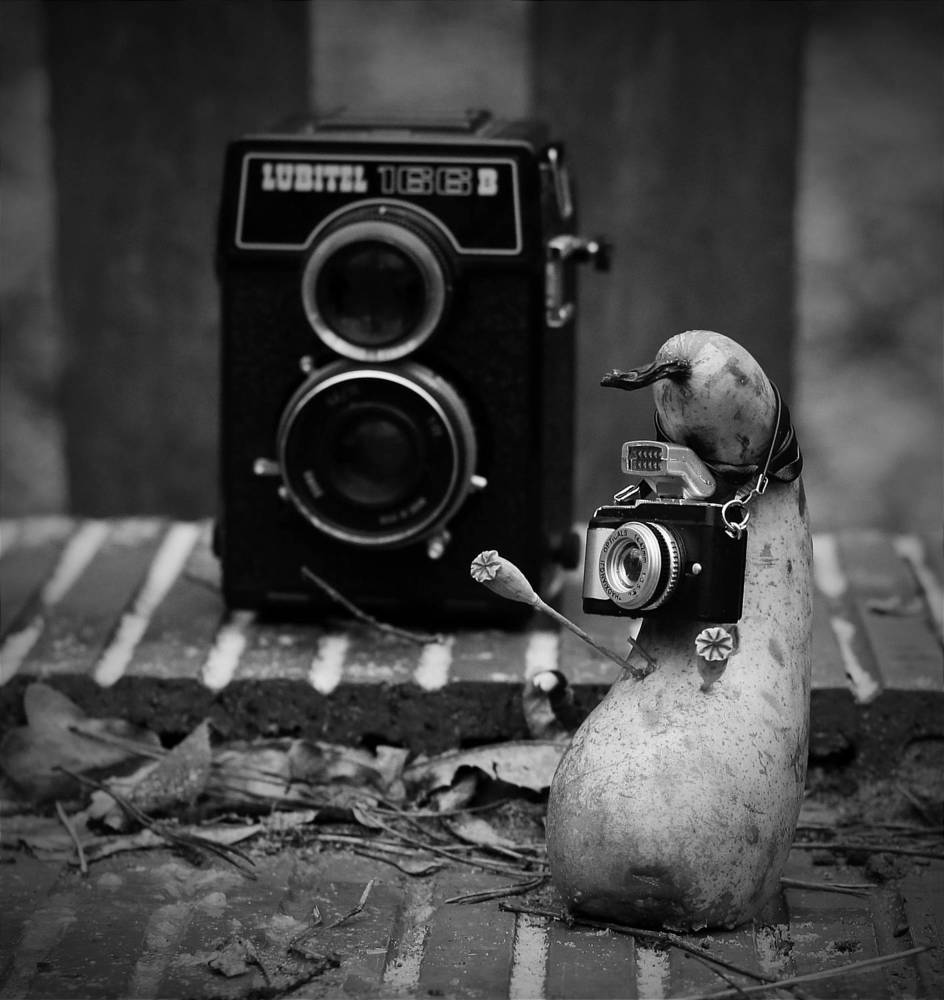 Photograph by Татьяна Исаева