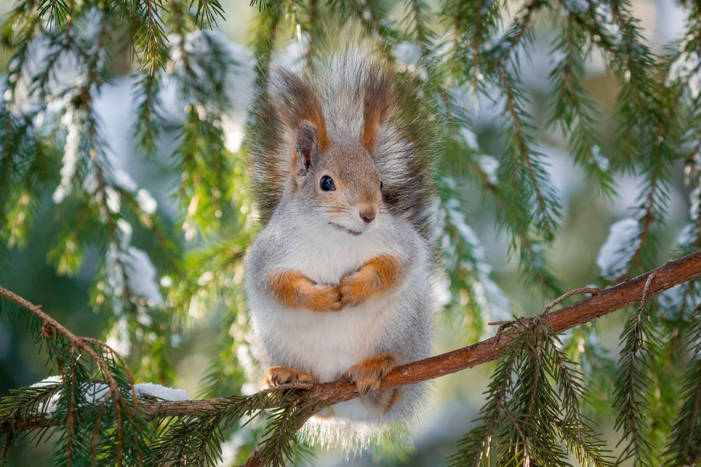 Photograph by Сергей Лебедев