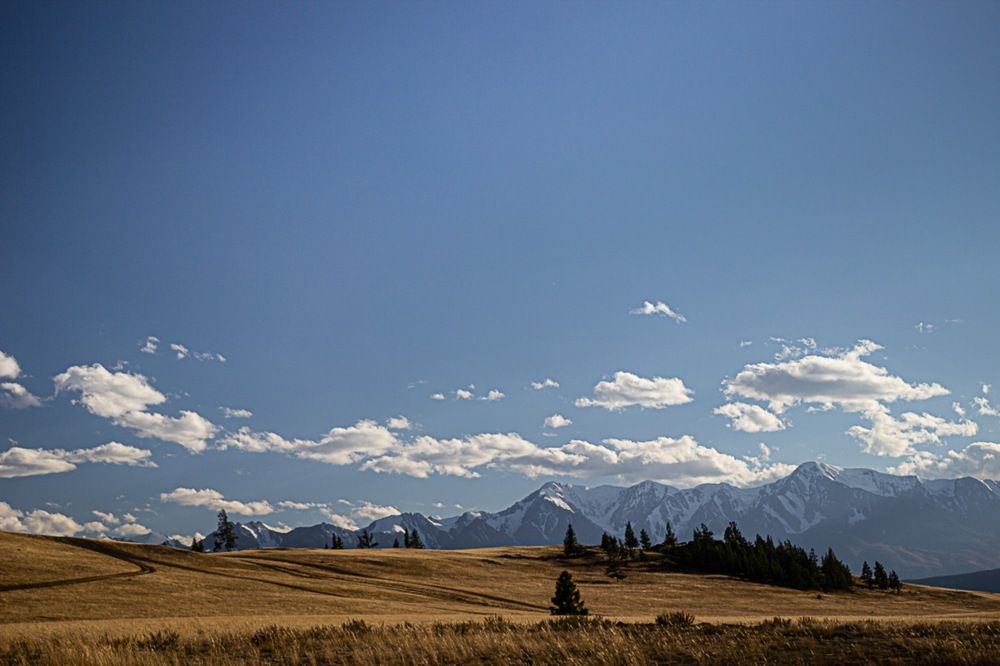 Photograph by Екатерина Першина