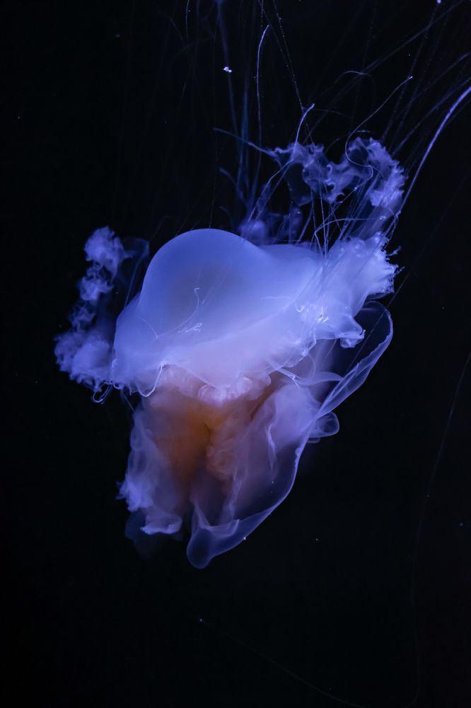 Photograph by Victoria