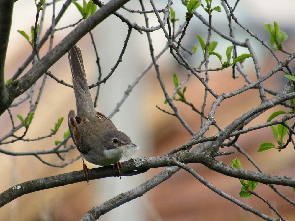 Photograph by Владимир Перминов