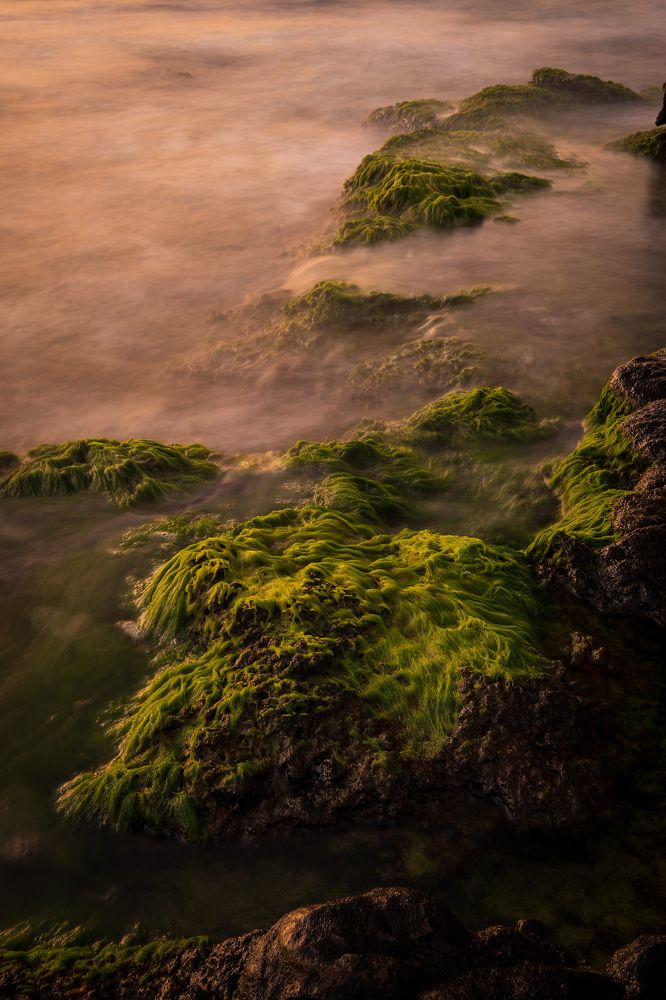 Photograph by Alexandru Pavel