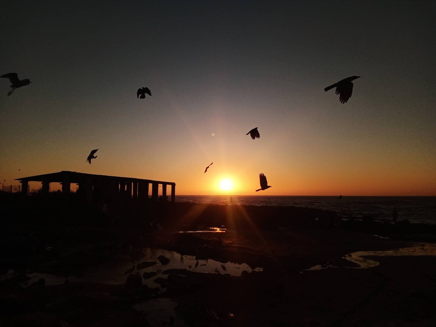 Photo #8958843
