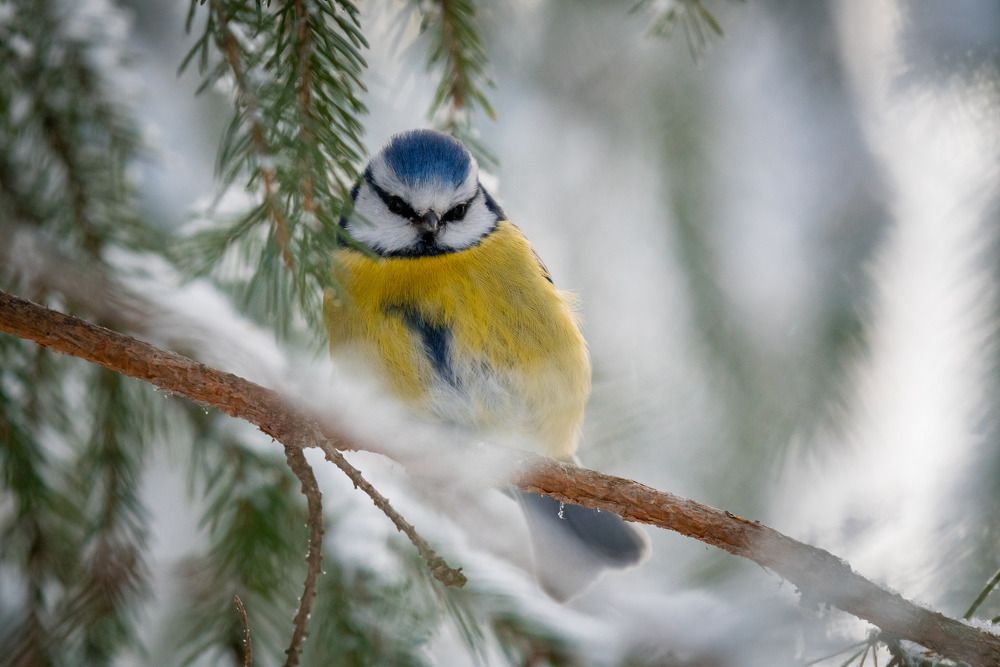 Photograph by Сергей Лебедев