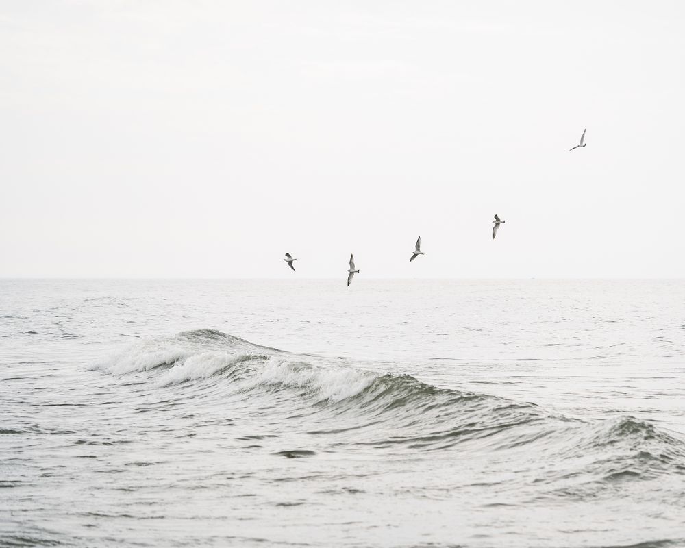 Photograph by Nadeshda Weber