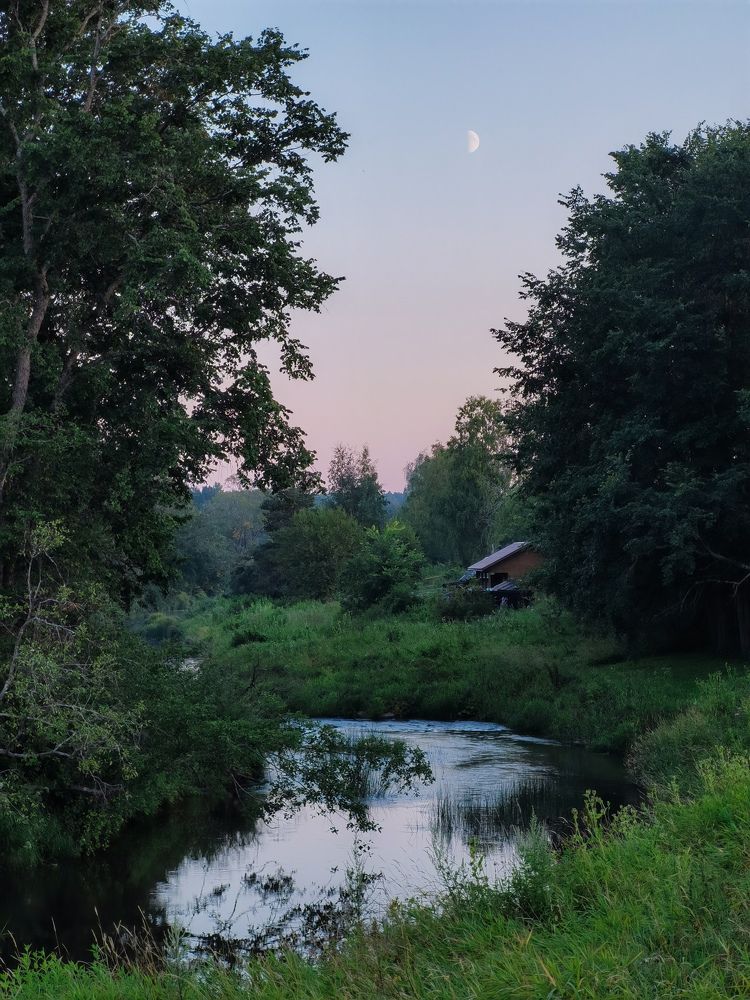 Photograph by Дарья