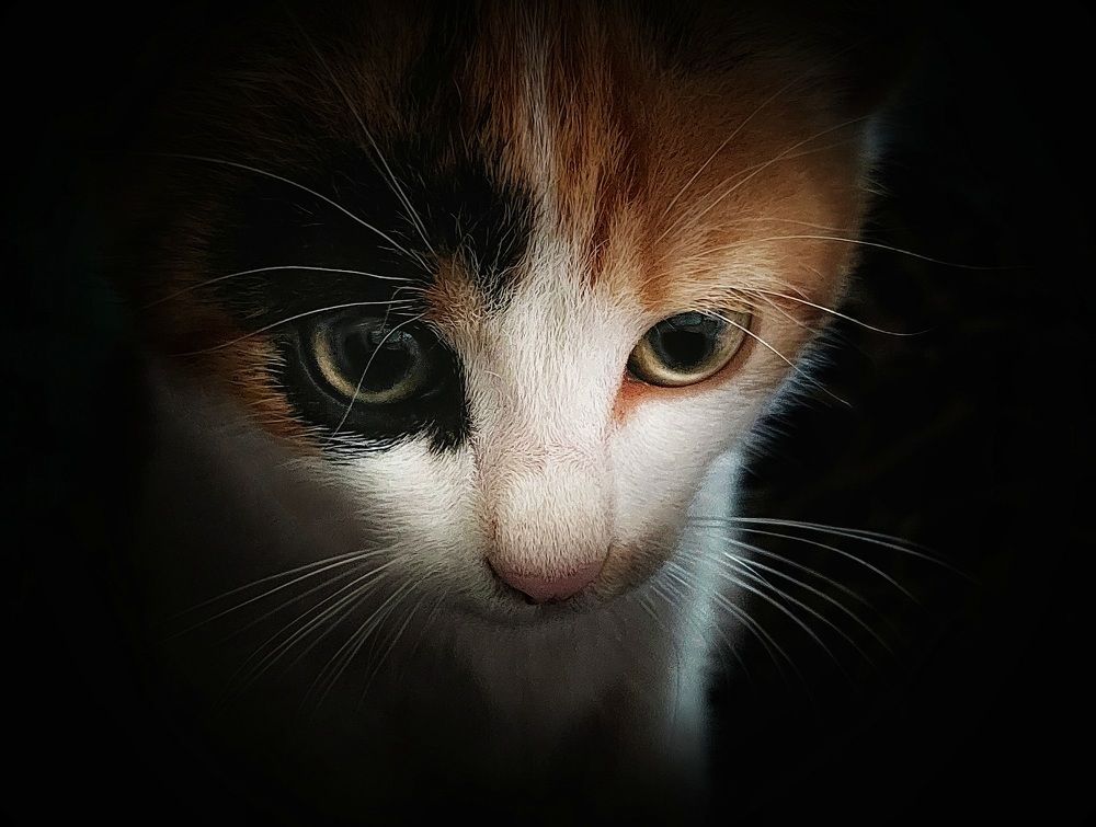 Photograph by Ольга