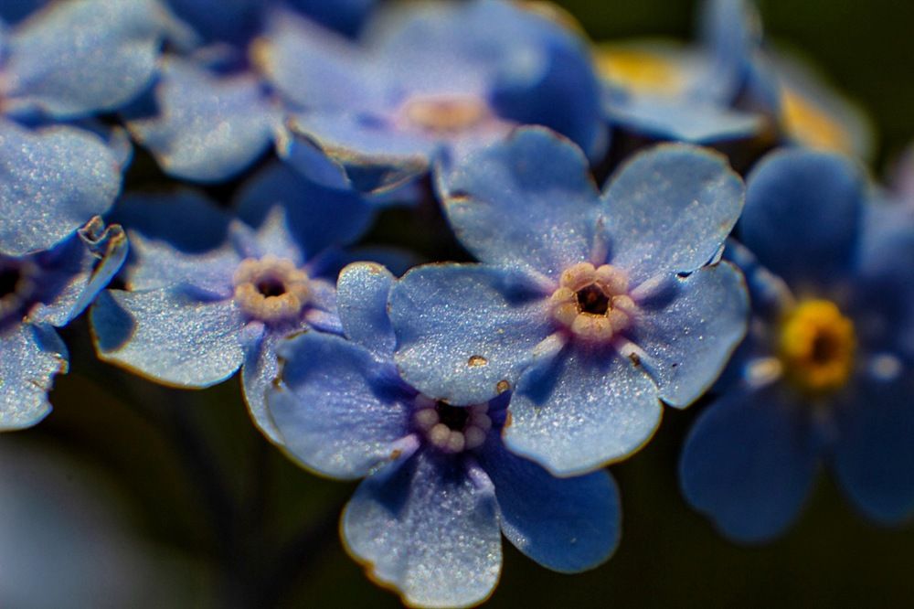 Photograph by Екатерина Першина