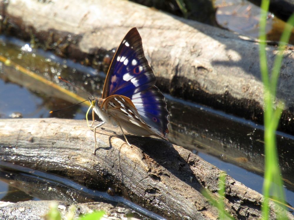 Photograph by Владимир Перминов