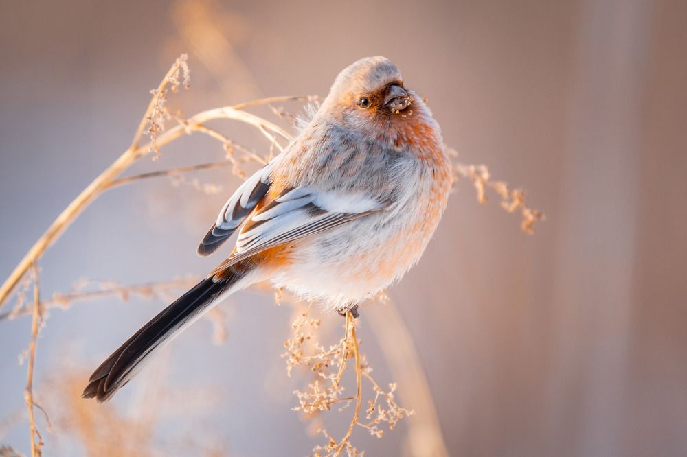 Photograph by Сергей Лебедев