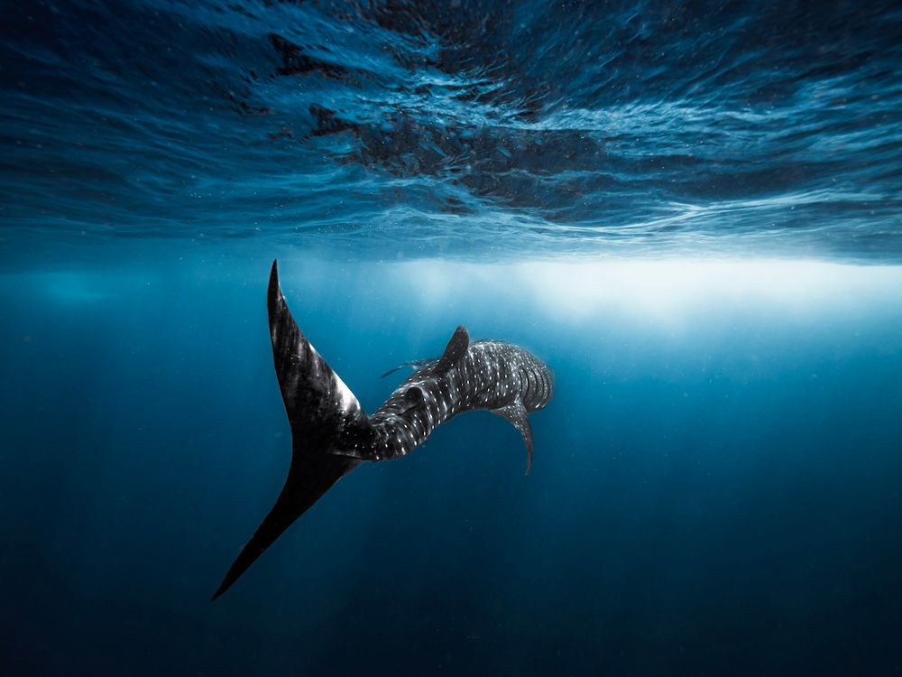 Photograph by mizael palomeque