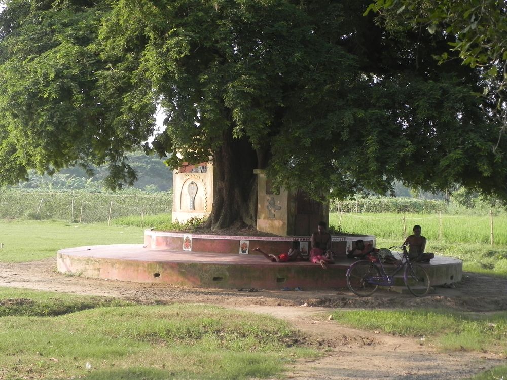 Photograph by Suparnojit Sarkar