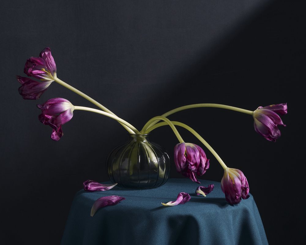 Photograph by Aliaksei Shandalin