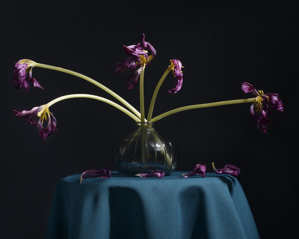 Photograph by Aliaksei Shandalin