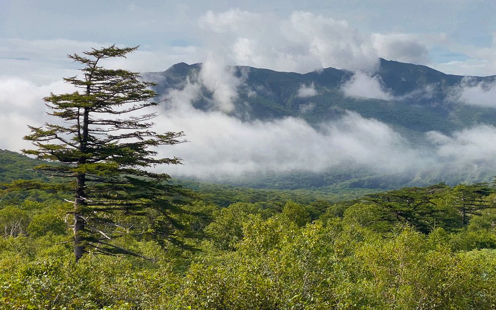 Фотография автора Вадим Жигулин