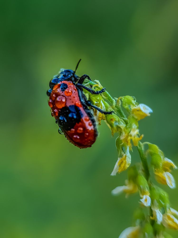 Photograph by Лариса Когтева