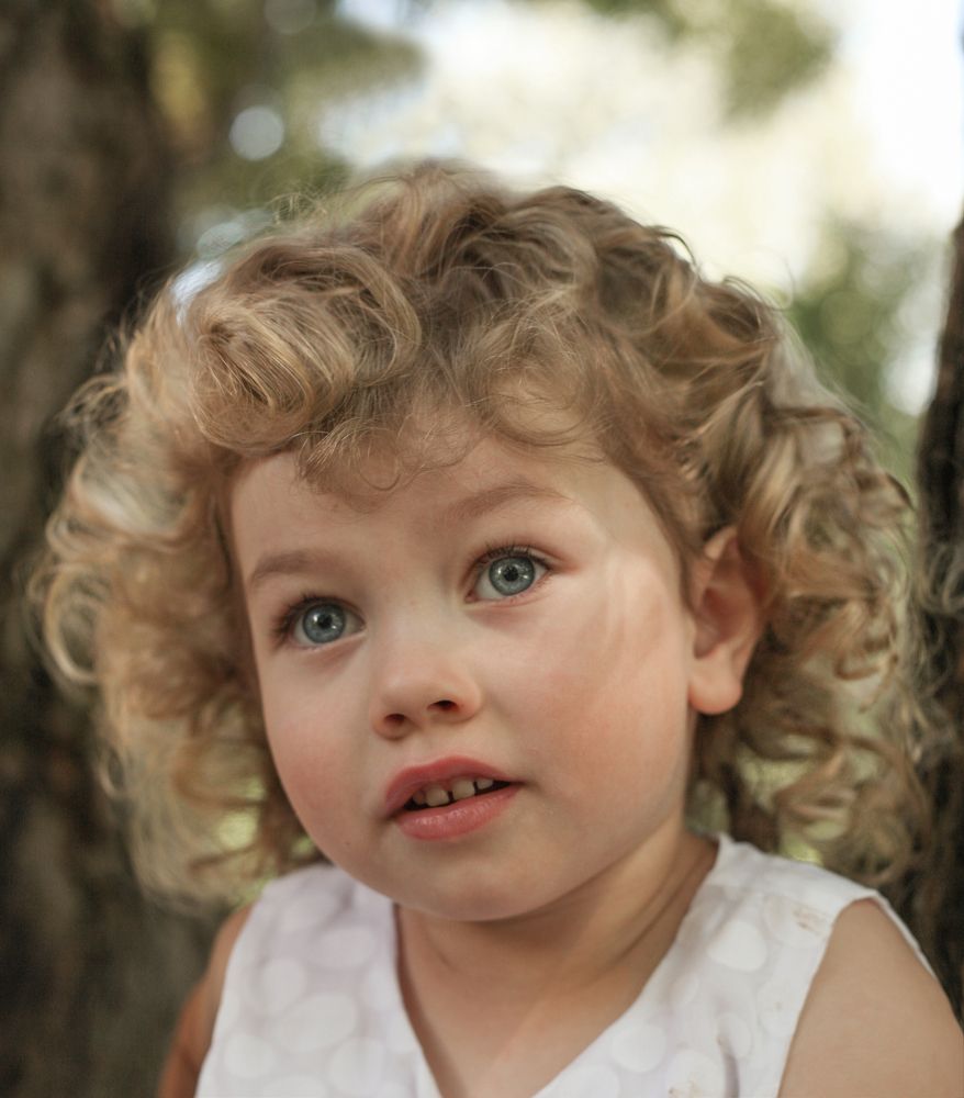 Фотография автора Алена Левина