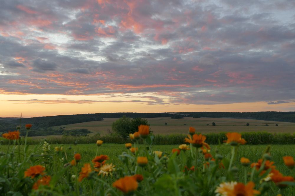 Photograph by Anastasia Perez