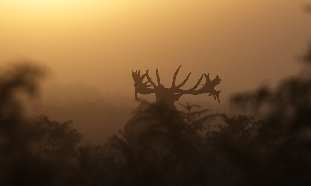 Фотография автора Kowalski Jaroslaw