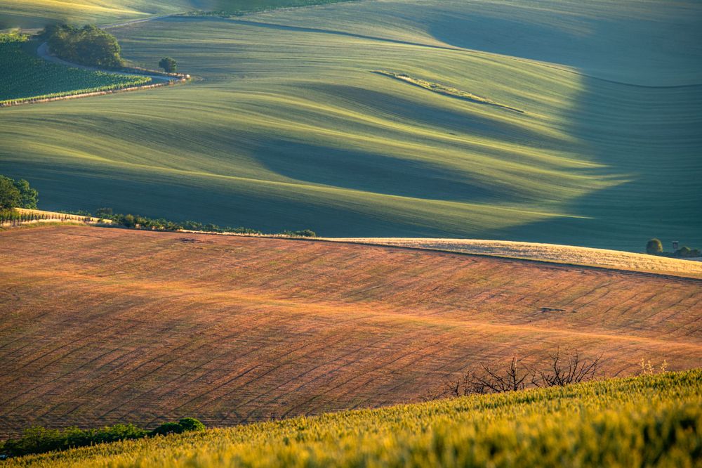 Photograph by ПАВЕЛ