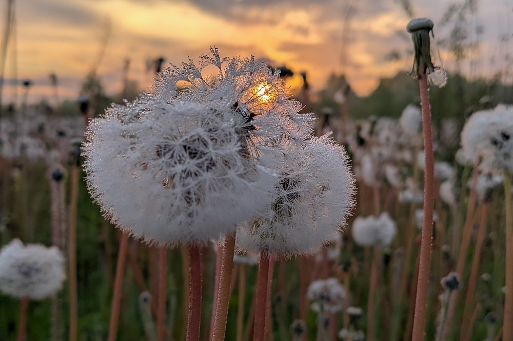 Photograph by Светлана Кондрашова