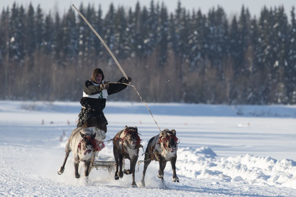 Photograph by Татьяна Борисова