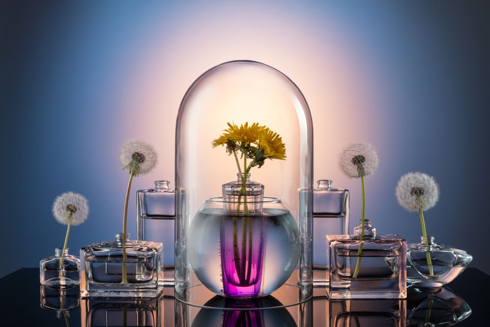 Фотография автора Кирилл Сизов