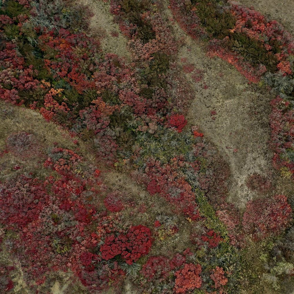 Photograph by Дмитрий Батагов