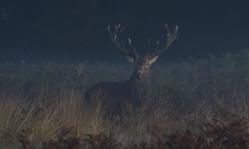 Фотография автора Kowalski Jaroslaw