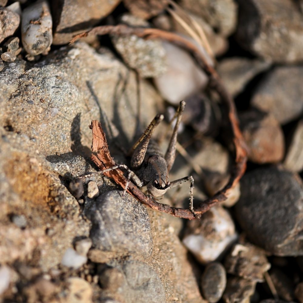 Photograph by Дмитрий Батагов