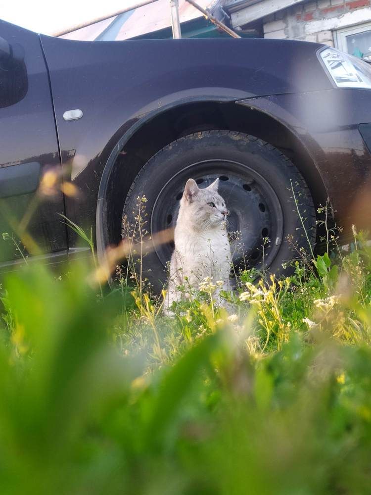 Photograph by Елена Короткова