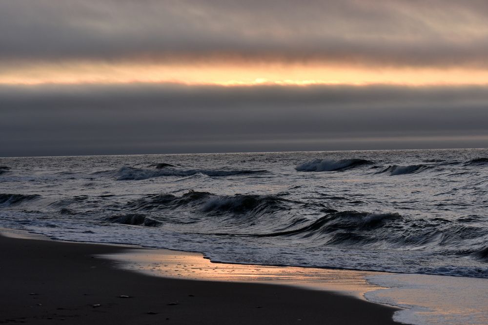 Grey waves