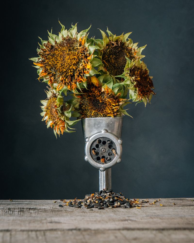 Photograph by Ранчинский Дмитрий