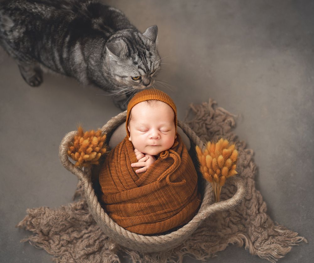 Photograph by Ольга