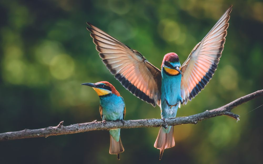 Я тут присоседюсь