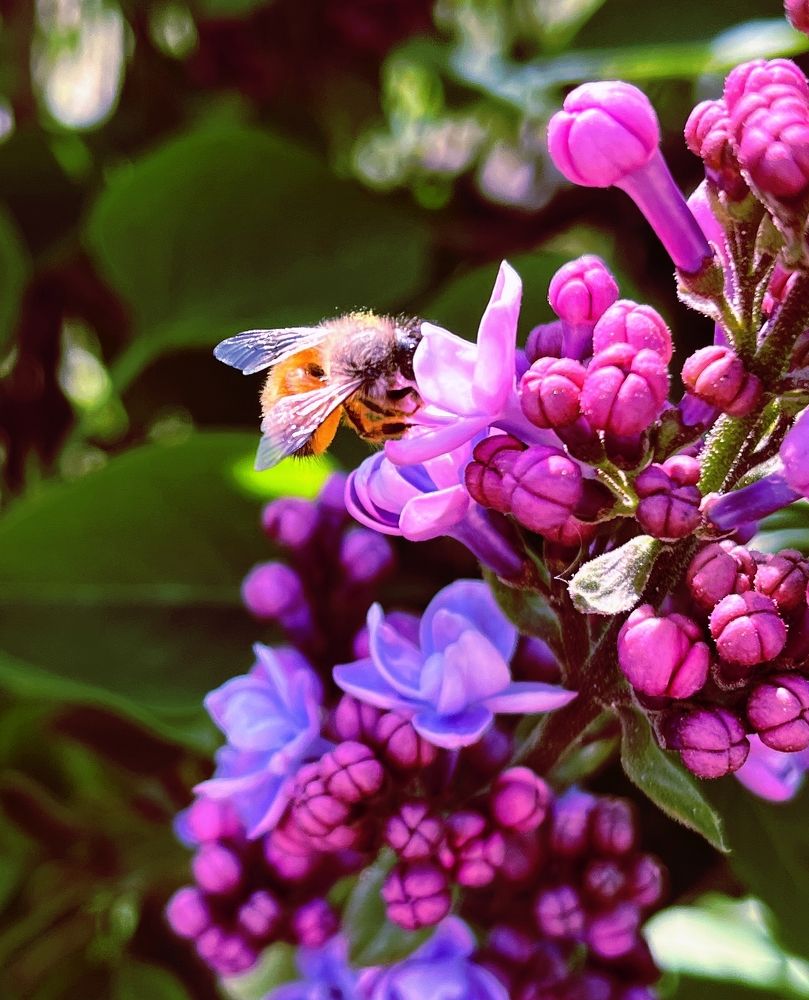 Photograph by Светлана Полякова