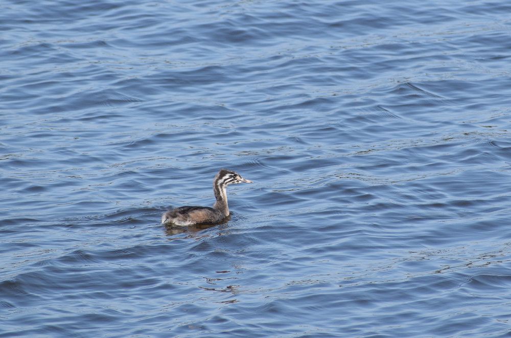 Photograph by Ярослав Думчев