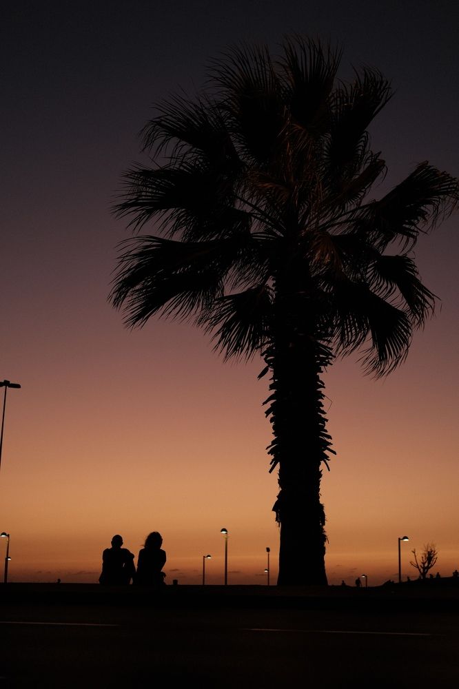 Photograph by Artem Galimov