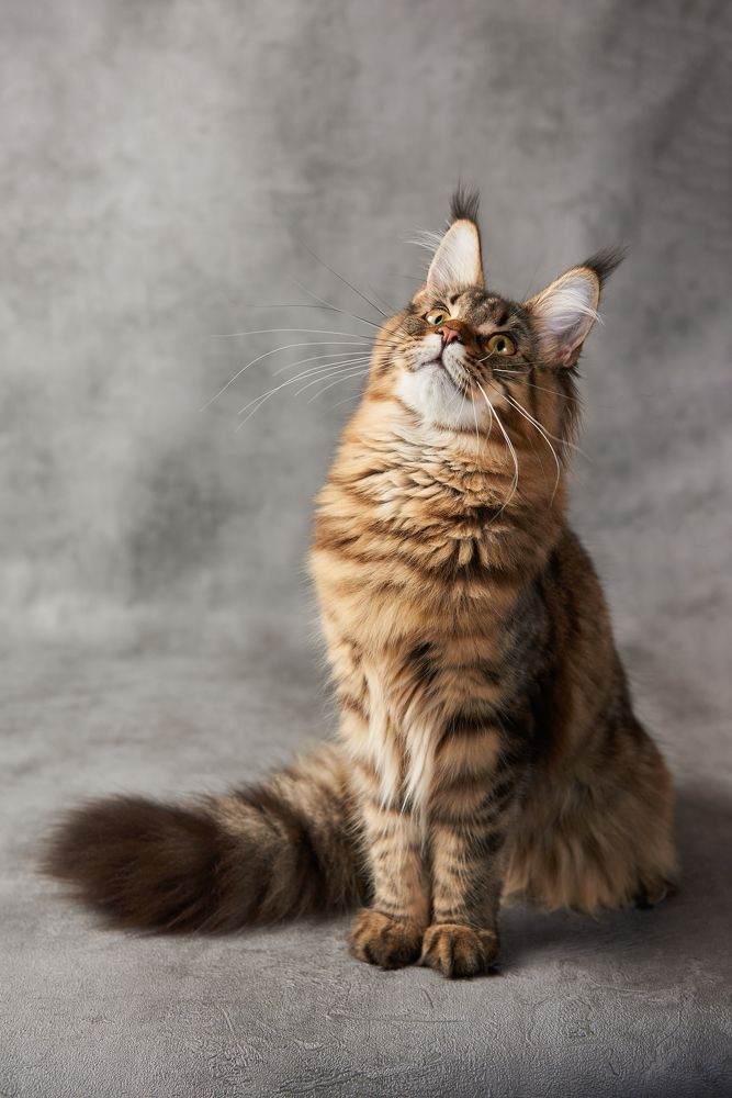 Photograph by Владимир Греков