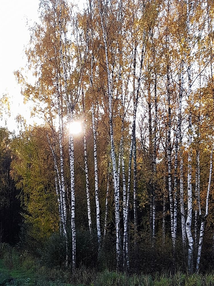 Фотография автора Владислава Андрюнина