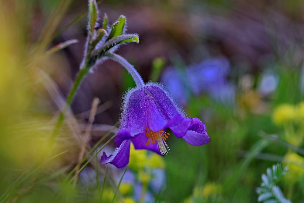 Photograph by VictОr