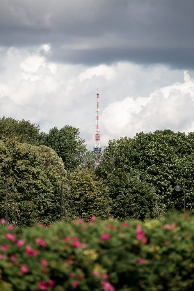 Photograph by Анастасия Петрова