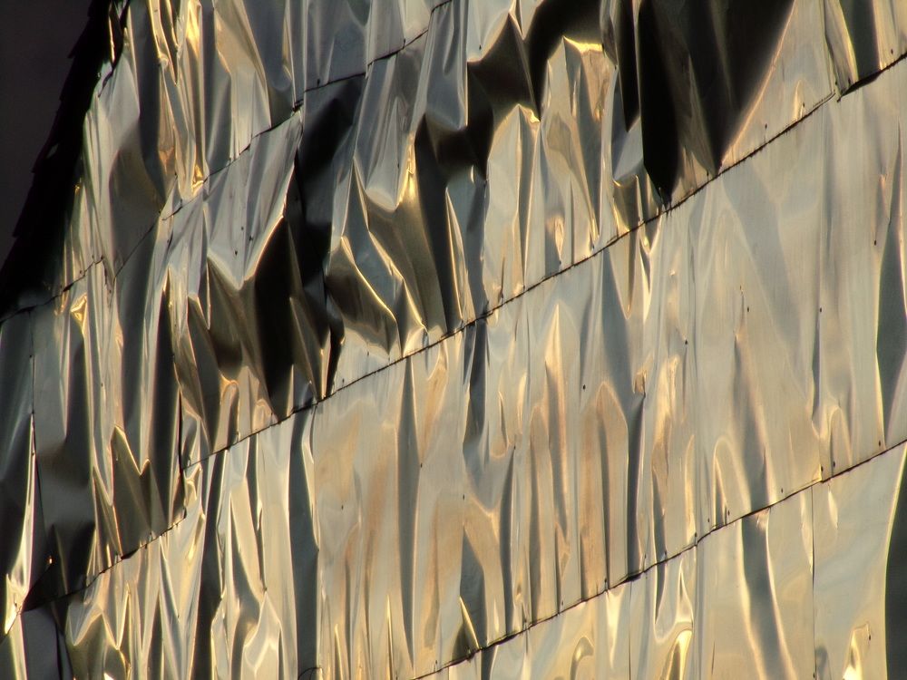 DE REFLEJOS Y PINGUINOS DE TECHO